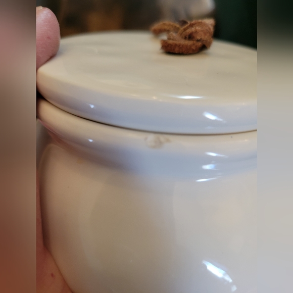 NWT 2016 mud pie large bistro canister with lid cute details - Picture 5 of 13